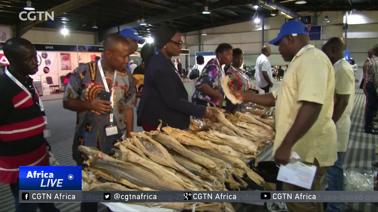 Nigeria imports Norwegian seafood worth 125 million yearly YouTube