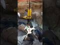 Good welding gear #howto #weldingequipment #weld #pipeline #pipeliner #welder #fabrication