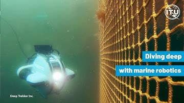 AI for Good: Marine robotics
