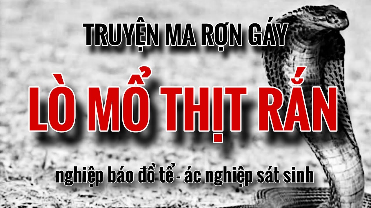 Rợn tóc gáy nghe kể về LÒ MỔ THỊT RẮN nghiệp báo đồ tể | Mc Hằng Nga ...