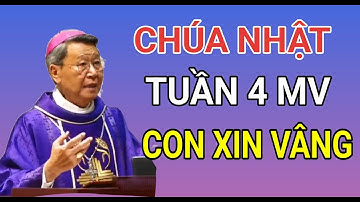 CHÚA NHẬT TUẦN 4 MÙA VỌNG - XIN VÂNG NHƯ LỜI SỨ THẦN.. | ĐỨC CHA KHẢM GIẢNG VÀ GIẢI ĐÁP THẮC MẮC