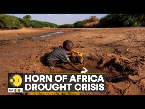 WION Climate Tracker