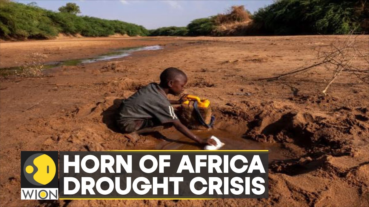 wion-climate-tracker-historic-drought-in-horn-of-africa-raises-famine