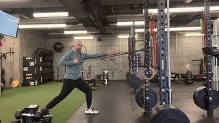 Split Stance Rotational Row