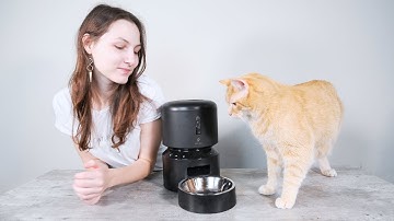Petlibro Granary Automatic Cat Feeder Review (We Tried It)