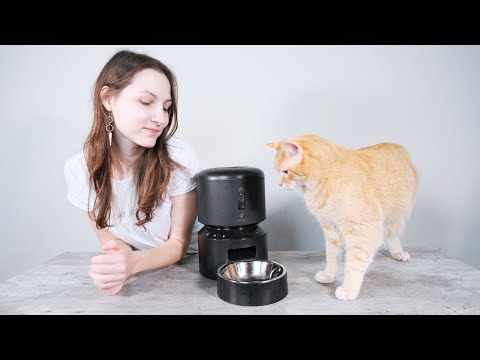 Petlibro Granary Automatic Cat Feeder Review (We Tried It)