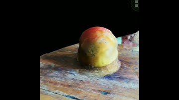 AI is far maore advanced #magiscan