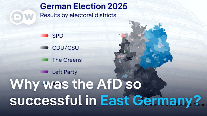 AfD's core support comes from eastern Germany | DW News