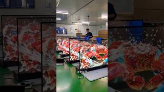 77" 4K Transparent OLED | Alaskan King #transparentoled Crab Visual Shock