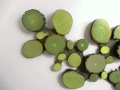 Green Wall Decor - Home Decoration Collection