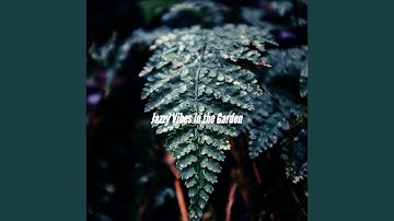 Inspiring Backdrops for Choosing Clarity