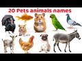 20 Pets Names for Kids | Learn Pets in English | Educational Video