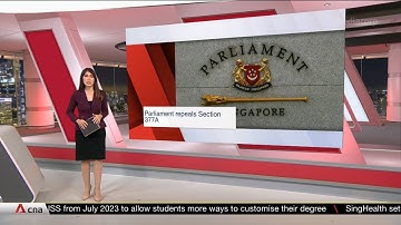 CNA: Parliament repeals Section 377A and amends Constitution to protect definition of marriage