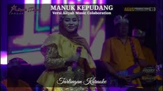 Download lagu MANUK KEPUDANG KARAOKE CEWEK versi SITI ALIYAH MUSIC COLABORATION