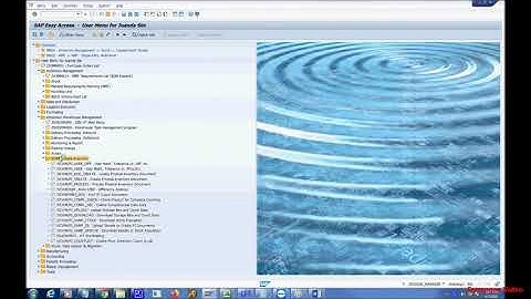 Create Physical Inventory doc EWM