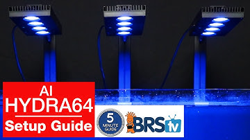Setup your AI Hydra 64HD for "success mode". Here
