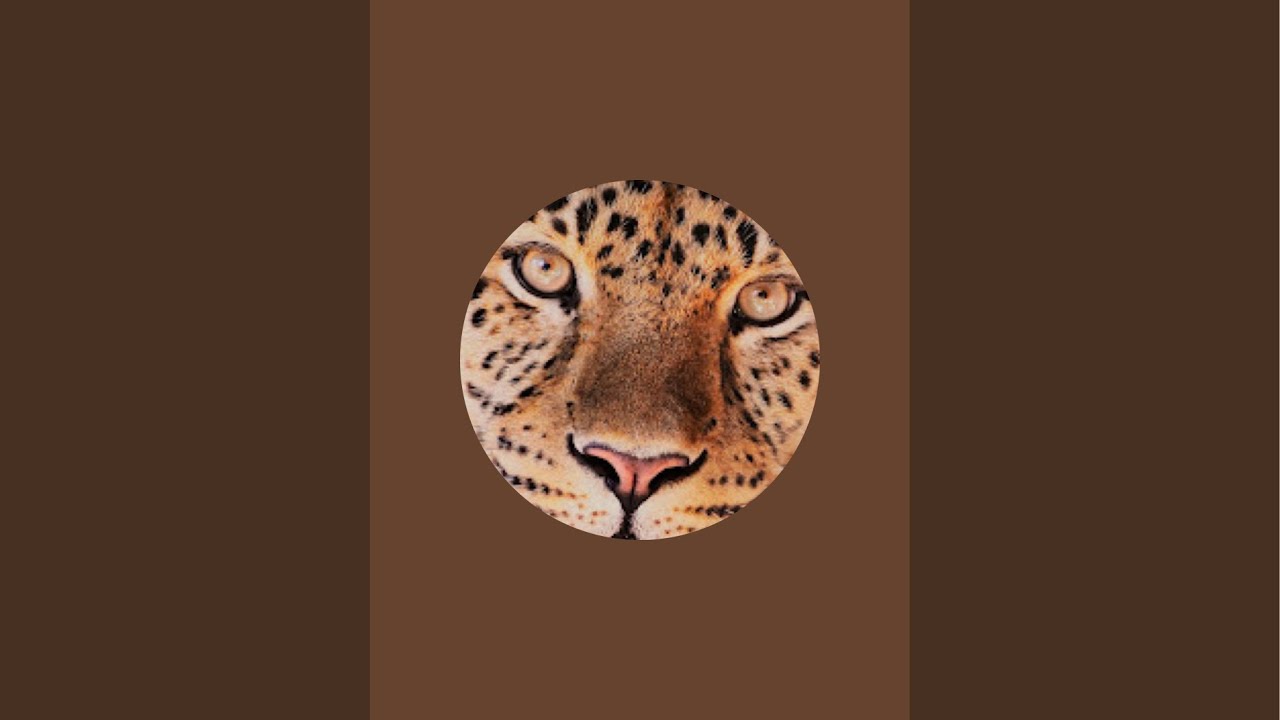 Morena les caractéristiques des signes Astro  cancer lion vierge balance scorpion sagittaire