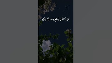 الله لا إله إلا هو الحي القيوم | تلاوة 🎙خاشعة ❄️..تدبر بقلبك ❤️| ايات | القرآن الكريم