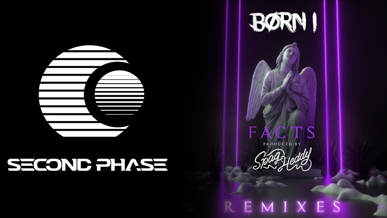 Born I & Spag Heddy - Facts (Ponicz Remix)