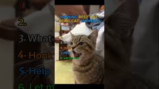 But These Have To Be The Cutest Being Ever