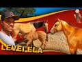 Diana com Cavalo de Vaquejada