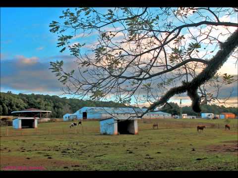Trouble In The Fields Video
