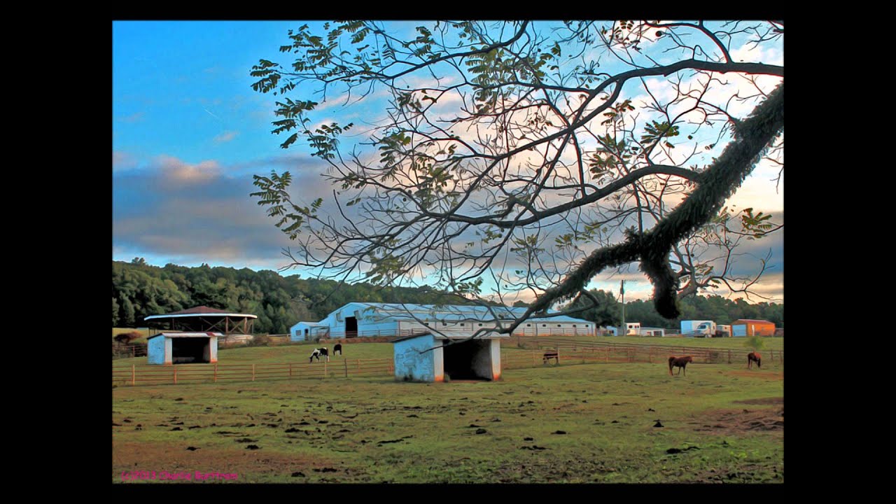 ナンシー グリフィスを偲んで 桂田祐介 Note ナンシー グリフィスを偲んで 桂田祐介 Note