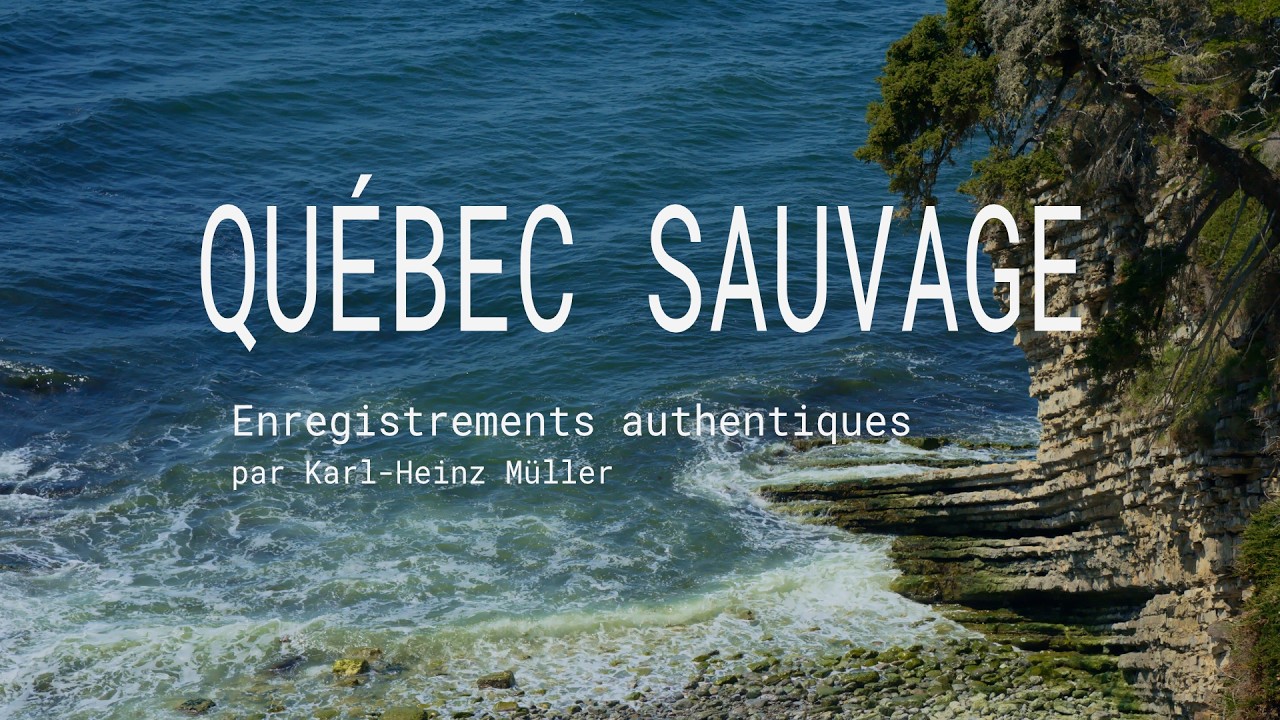 Paysages sonores :: Québec Sauvage :: 2026-03-01