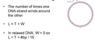 DNA Supercoiling 3 - Linking Number