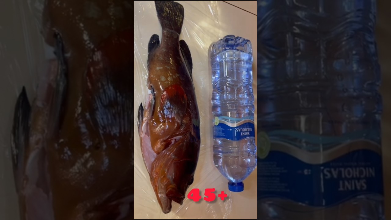 ⁣Царь-рыба этого сезона! #море #catchandcook #подводнаяохота