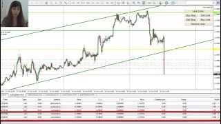 Forex System, Simple Trading Trend Channel, Real Time, 4 Pairs