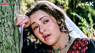 Sad Song 💔 | चिट्ठिए नी दर्द फिराक वालिए | लता मंगेशकर | हीना | ऋषि कपूर, ज़ेबा बख्तियार | 4K Thumb