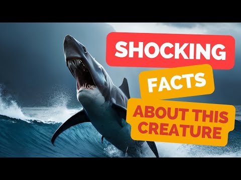 10 Shocking Facts