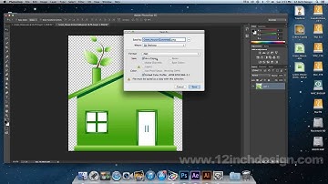 Using Vector Graphics in Video Editing Software and After Effects