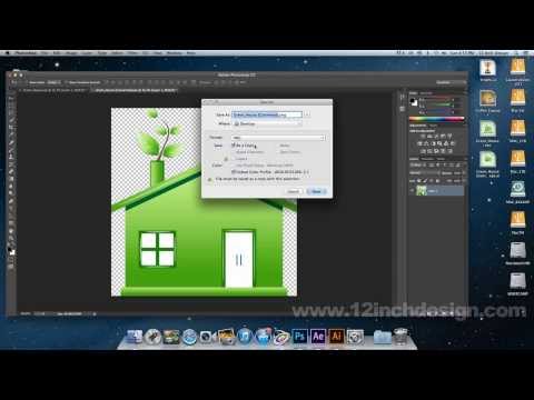 using-vector-graphics-in-video-editing-software-and-after-effects