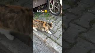 Şfetbeniöneçıkar Şfet Şfetteyiz Şfet Şfet