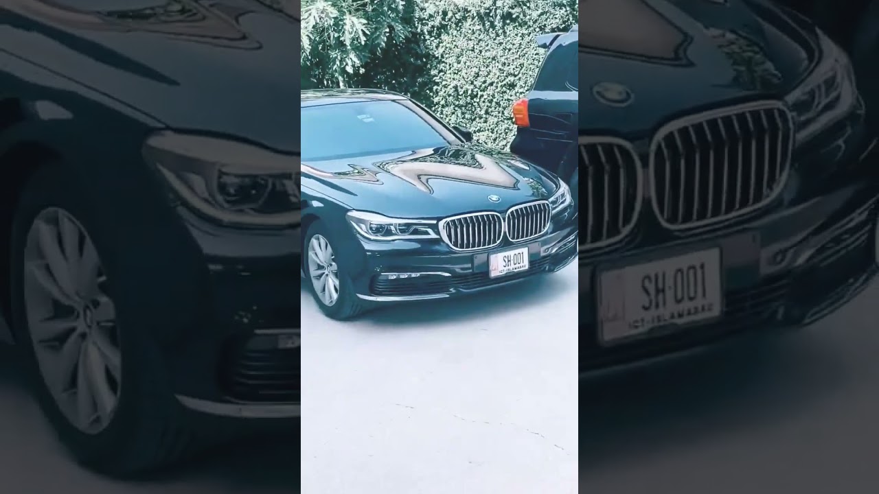 Moonis Elahi Imran Khan Tiger meeting with leaders 