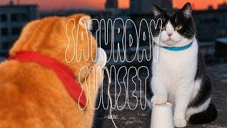 Aial. - Saturday Sunset「 」