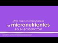 Micronutrientes en el embarazo.