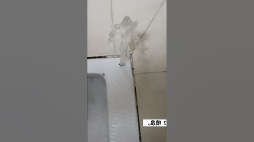 Bị phun ướt quàn vì bồn cầu bị thủng