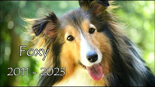 Saying Goodbye to Foxy 2011-2023