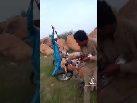 الفنان البادي الديك عبشك