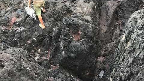 Câu mực ở đảo phú quý. (recreational squid fishing)