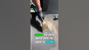 The ONLY Way You Should Ever Clean Your Carpets!