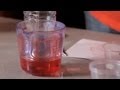How to Make a Homemade Thermometer | Science Projects