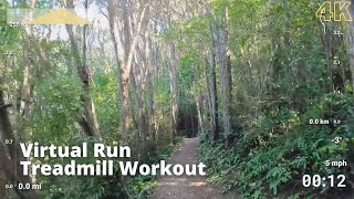 Virtual Run | Virtual Running Videos Treadmill Workout Scenery | Woodside Glen Forest Run/Walk