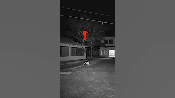 Ghost Hallows Halloweencostume Halloweendecorations Halloweendecoration Creepy Hallowing 