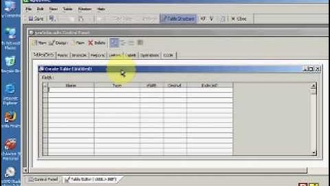 Alpha Five Tutorial 01