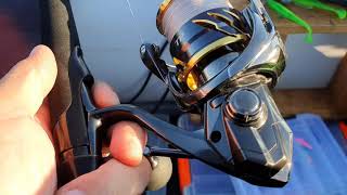 :    .   .  Crazy Fish Arion