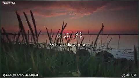 المصحف المرتل 📖 | تلاوات خاشعة ✨| ما تيسر من سورة العلق للقارئ الطبيب محمد عادل مسعود💛💫